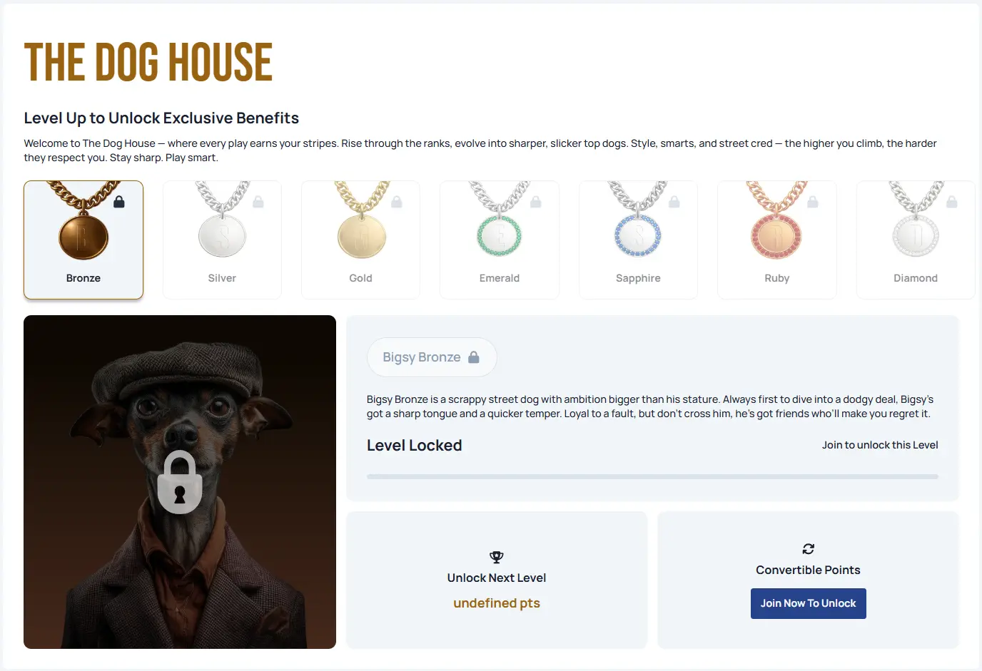 Spindog VIP programme — cashback, reload bonuses, birthday gifts and a personal manager